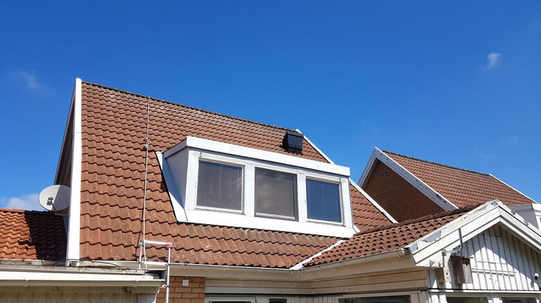 roof cleaning - before